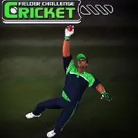 Cricket Fielder Challenge Game - Unblocked Games 66